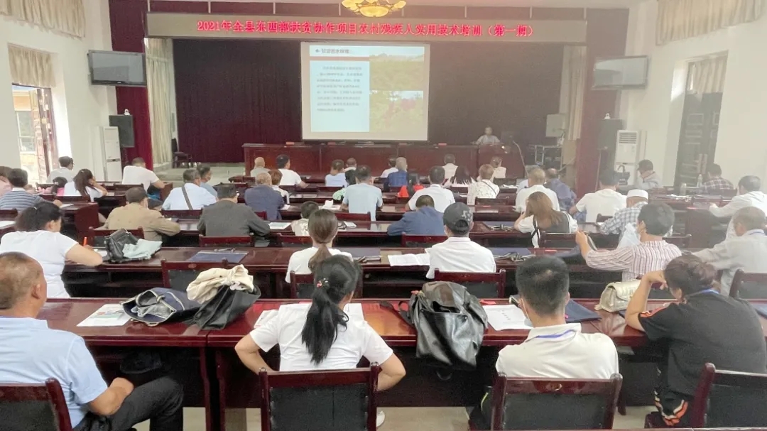 640.webp (6).jpg 640.webp (6).jpg